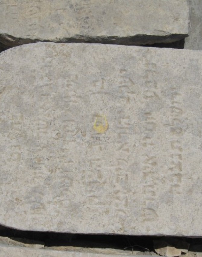 תמונת קבר אשר אליעזר לעוי Asher Eliezer Levi