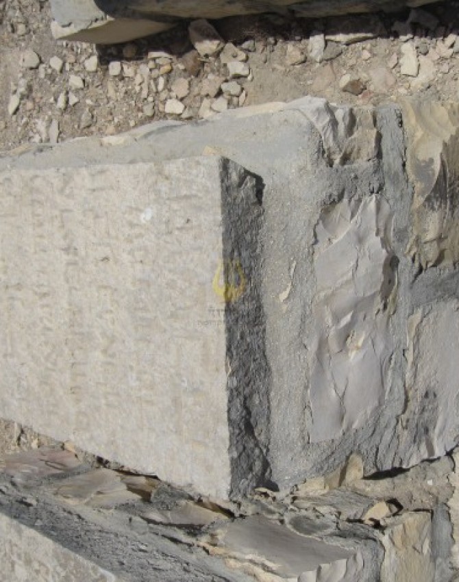 תמונת קבר ריזל ווייס Rizel Weiss