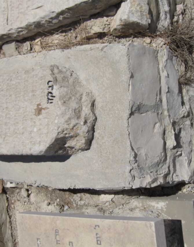 תמונת קבר מיכאל צבי בלויא Michael Zvi Blau