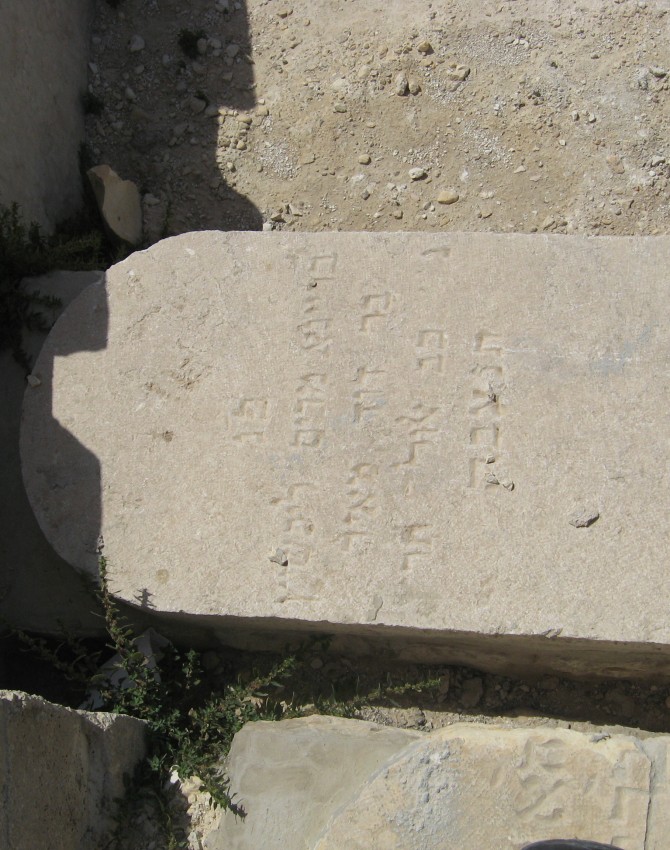 תמונת קבר בריינא מרים ליפשיץ Breina Miriam Liphschitz