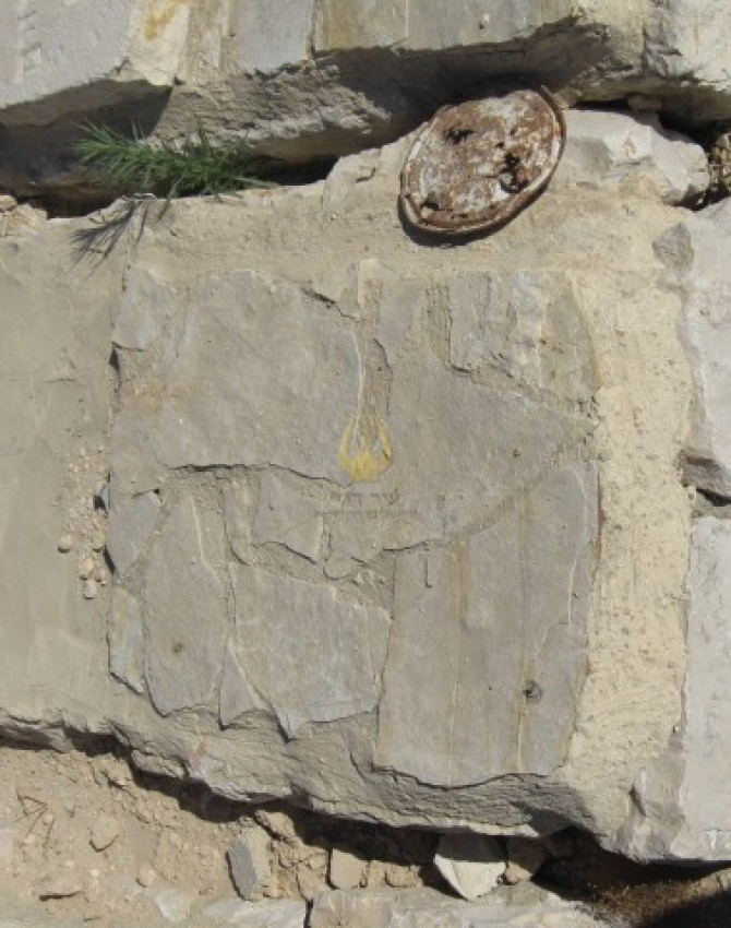 תמונת קבר באסיה הורביץ Bassia Horwitz