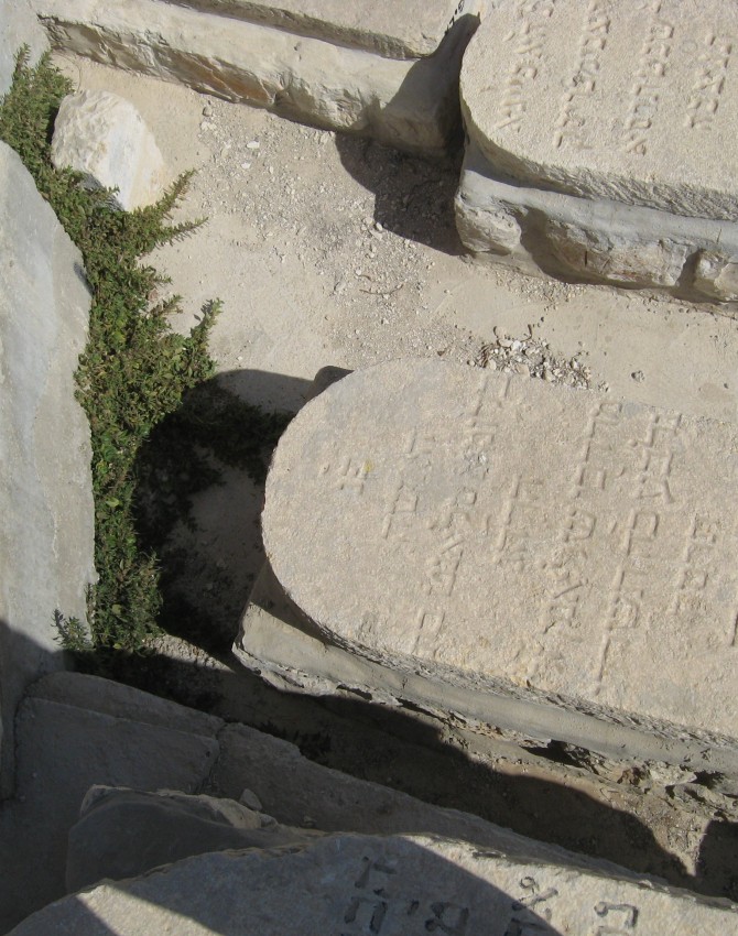 תמונת קבר בלומא סלאנט Blooma Slant