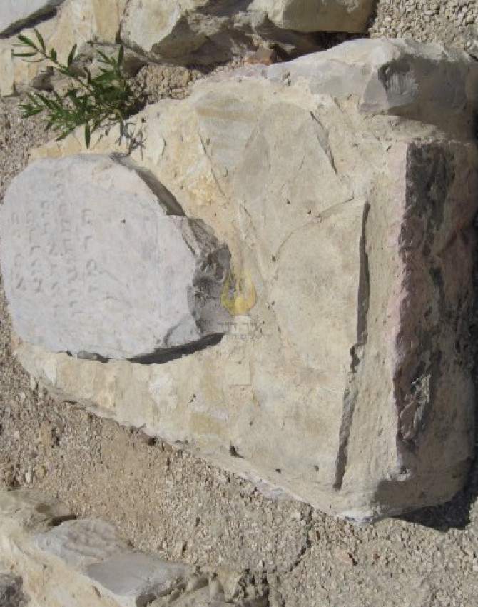 תמונת קבר פרומא לא ידוע Fruma