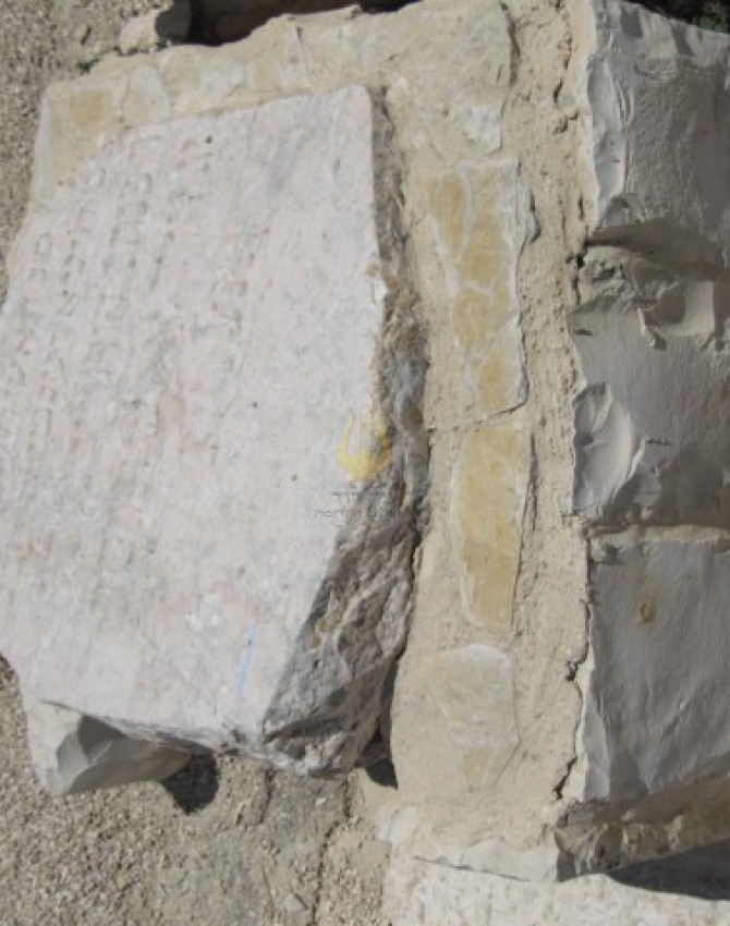 תמונת קבר היניא יענטא הורוויץ Henya Yentah Horwitz