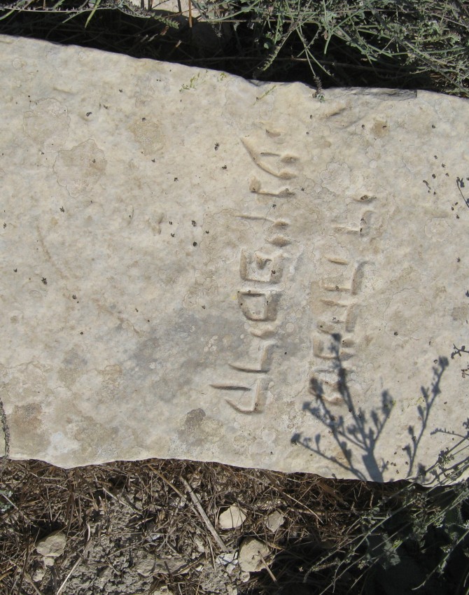 תמונת קבר שמחה קריספין Simcha Krispin