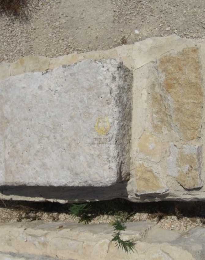 תמונת קבר דוב מאיר כץ Dov Meir Katz