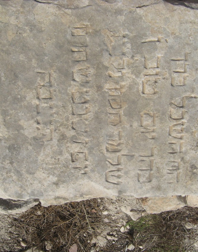 תמונת קבר יום טוב חסון YomTov Hasson