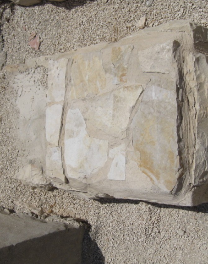 תמונת קבר חיה בריינא שכטר Haya Breina Schehter