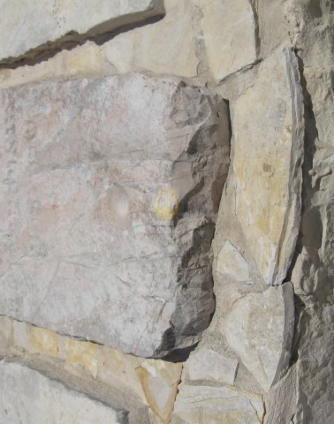 תמונת קבר מאיר יוסף לא ידוע Meir Yoseph