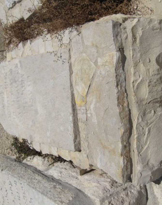 תמונת קבר עלקע לא ידוע Elkah