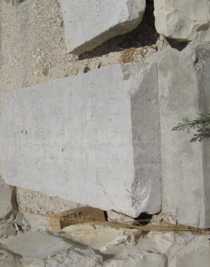 תמונת קבר בילא גרינברג Bella Grunberg