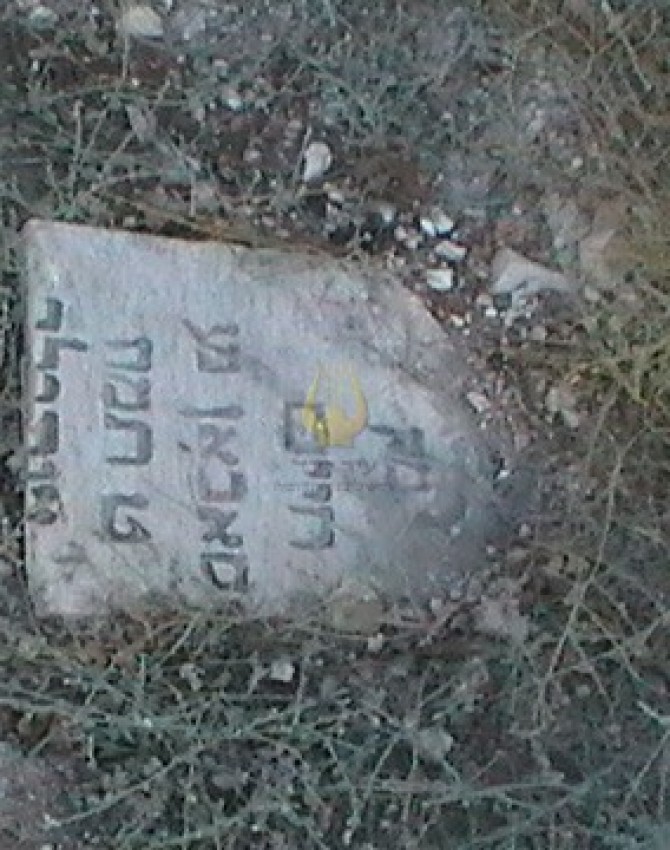 תמונת קבר חיים סאבאן Haim Saban