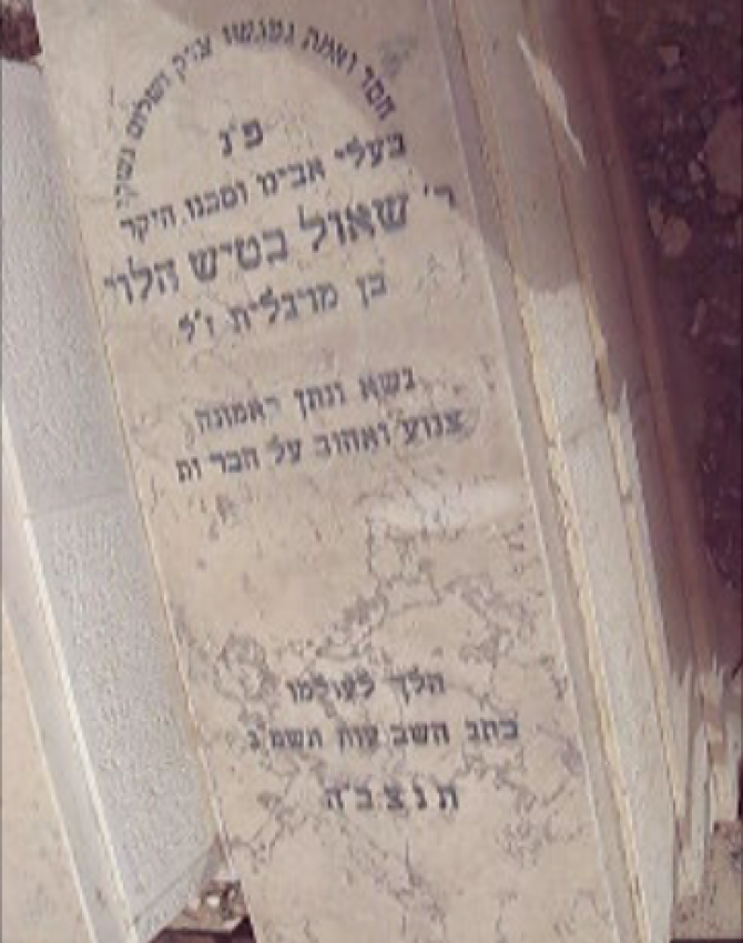 Snapshot 1 (08-02-2017 13-41)