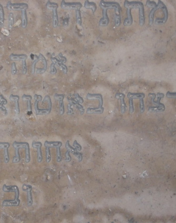 תמונת קבר ישראל אלתר