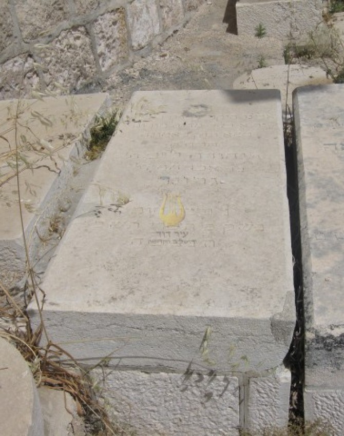 תמונת קבר יהודה ליב גרונר