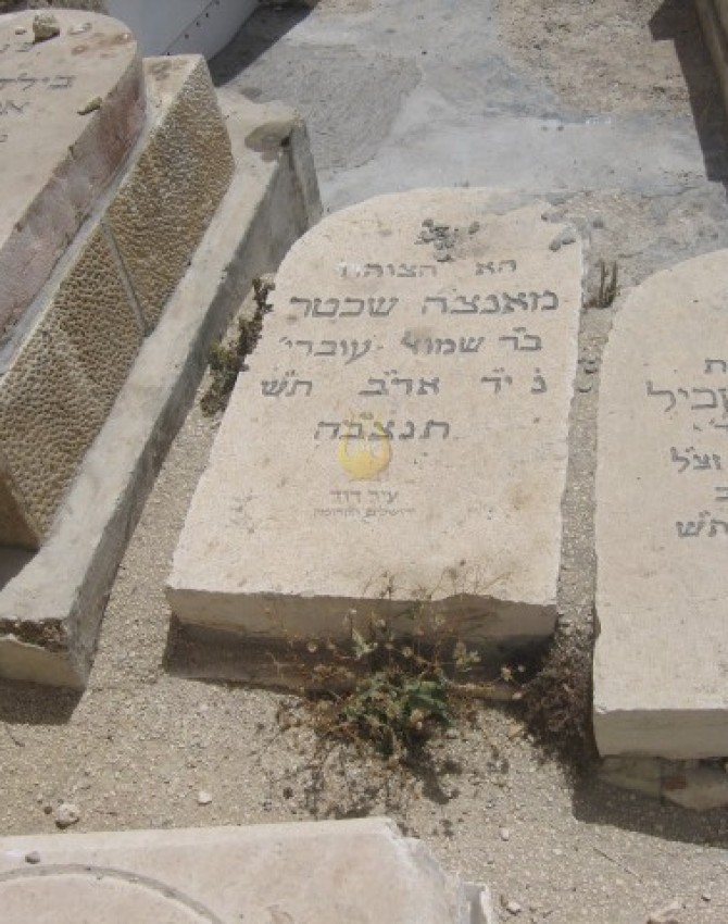 תמונת קבר מאנצה שכטר