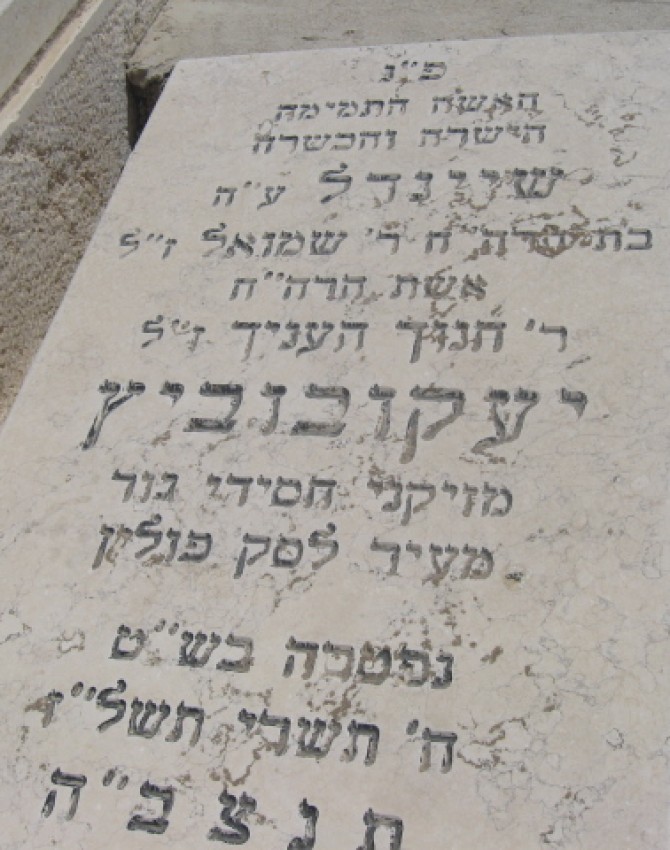 שיינדל-יעקובוביץ/