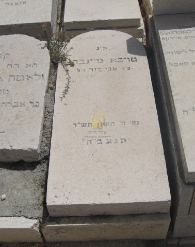 תמונת קבר טויבא גרינברג