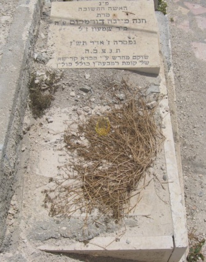 תמונת קבר חנה פייגה דורמבוס