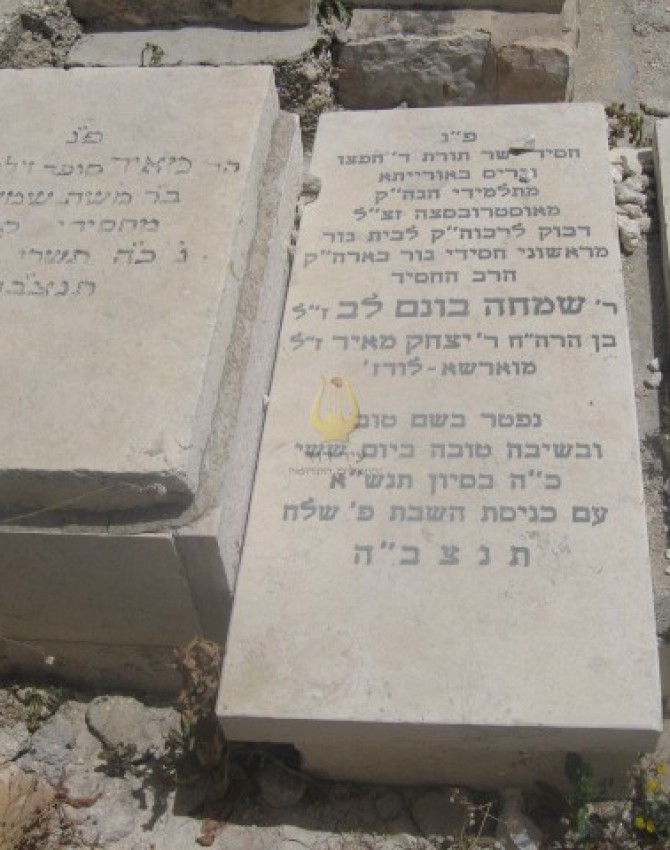 תמונת קבר שמחה בונם לב