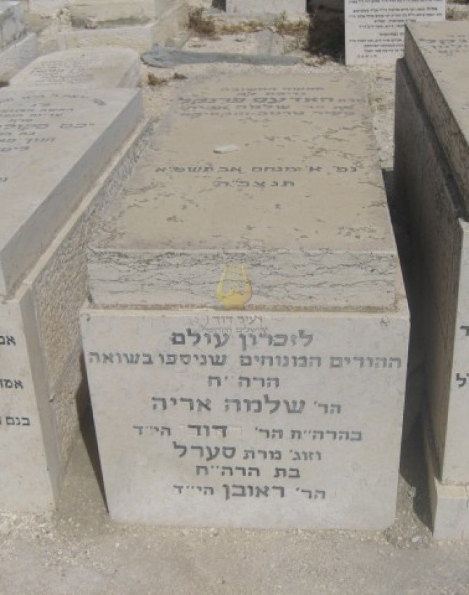 תמונת קבר האדעס פרנקל