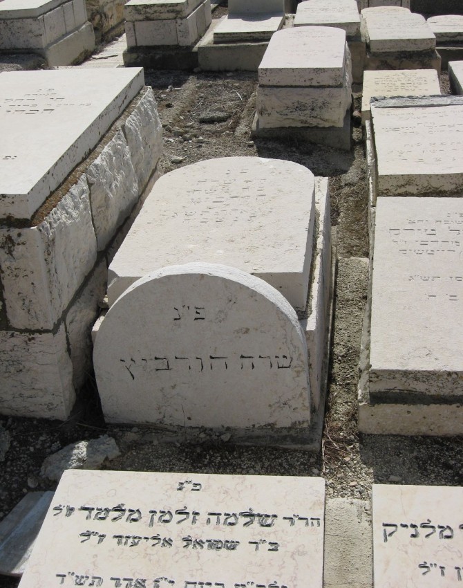 תמונת קבר שרה הורביץ