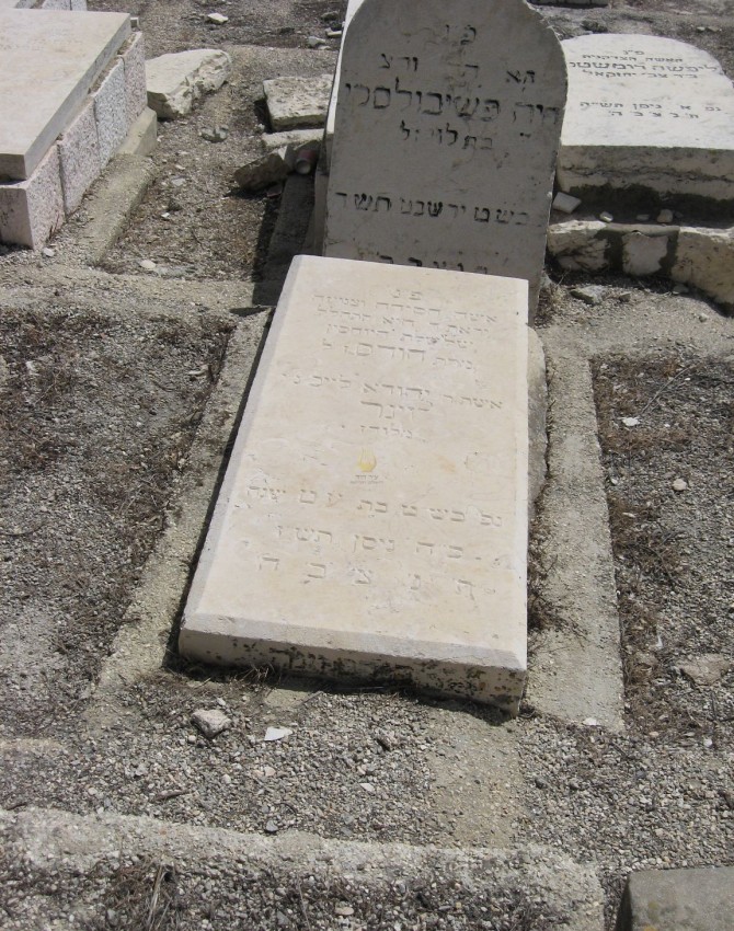 תמונת קבר הודס וינר