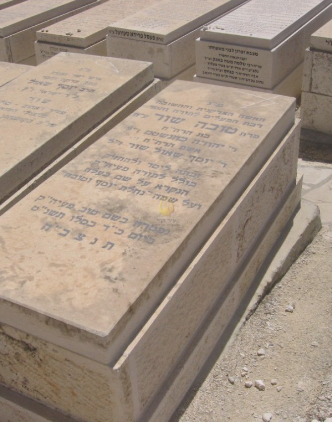 תמונת קבר טובה שור