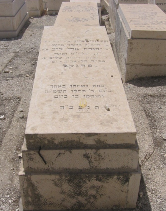 תמונת קבר יהודה אריה ליב פרנקל