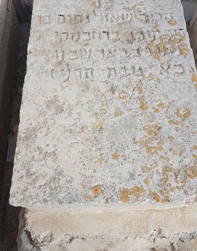 WhatsApp Image 2017-02-28 at 14.03.38