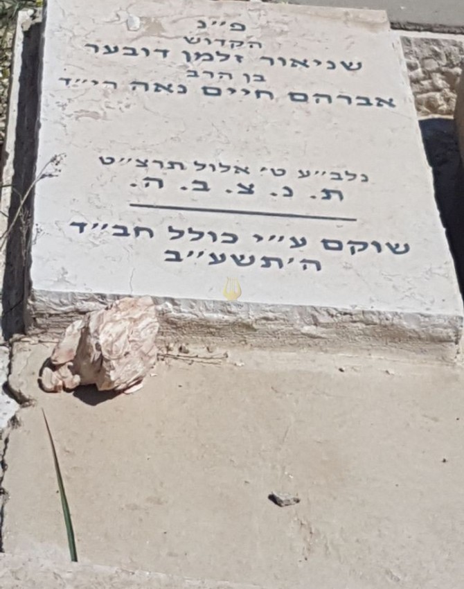 WhatsApp Image 2017-04-19 at 13.39.12