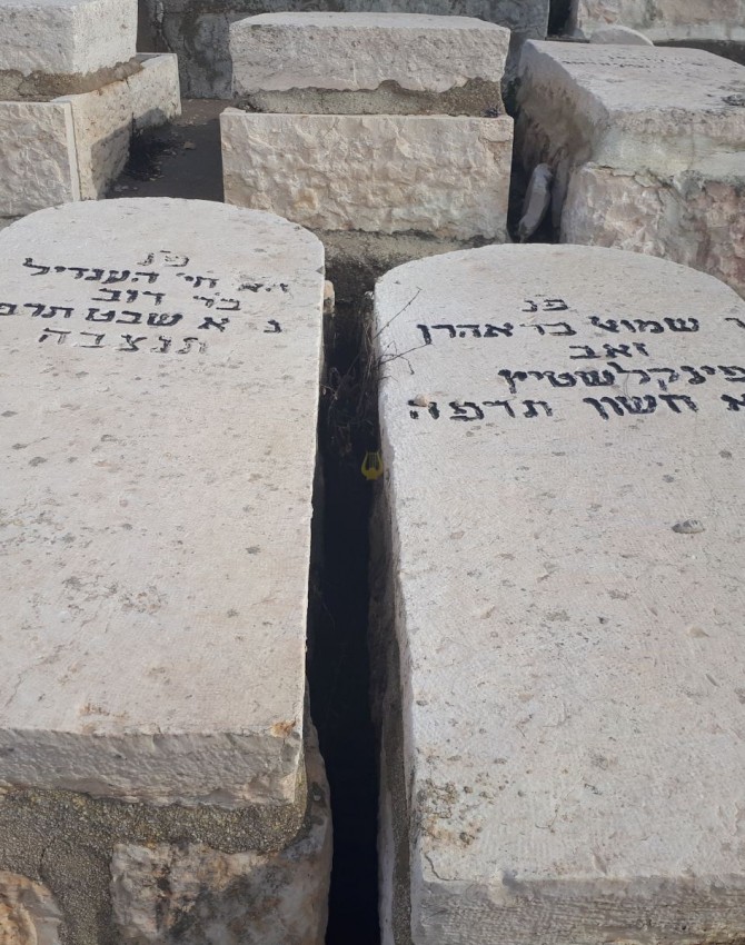 WhatsApp Image 2018-01-16 at 10.06.16 (1)