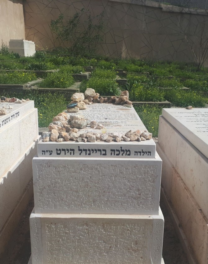 WhatsApp Image 2018-02-26 at 14.24.15