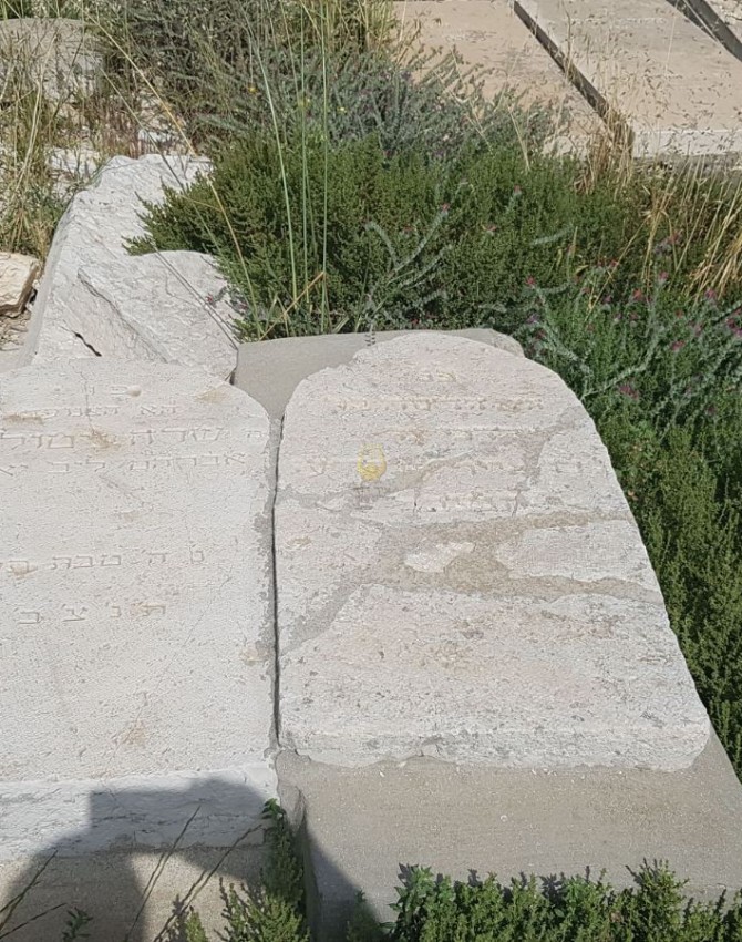 WhatsApp Image 2018-05-07 at 15.28.45 (1)