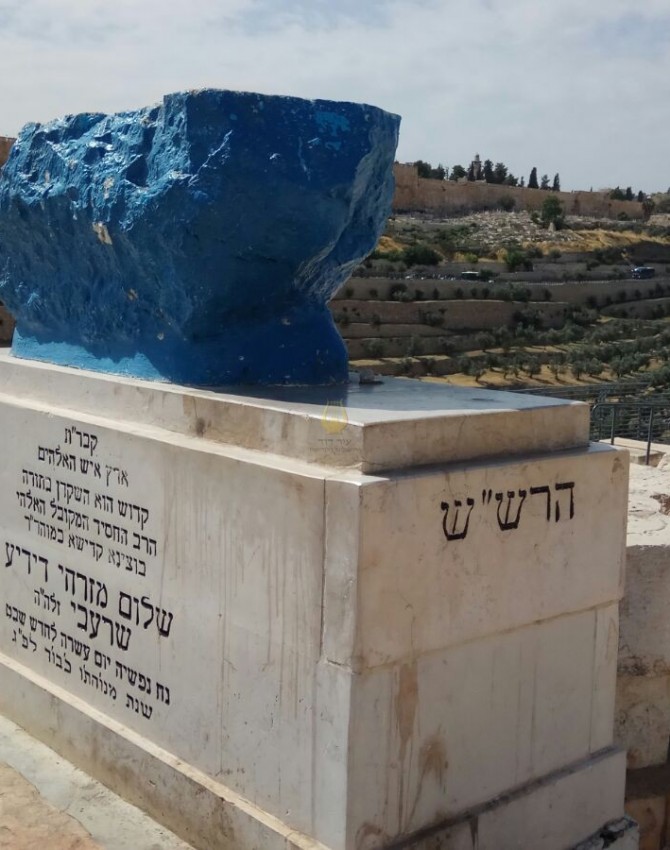 WhatsApp Image 2018-05-08 at 15.06.25