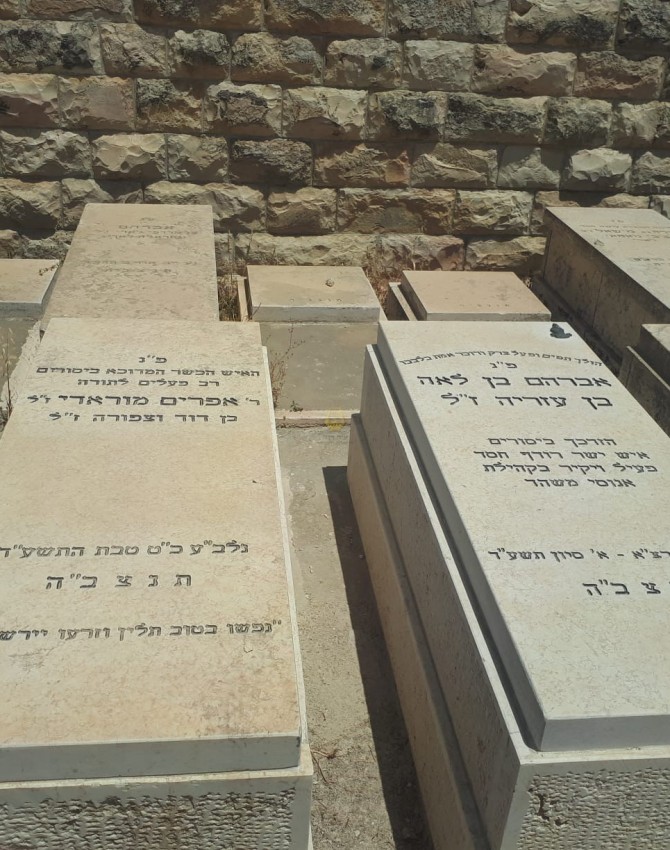 WhatsApp Image 2018-07-04 at 15.34.32 (1)