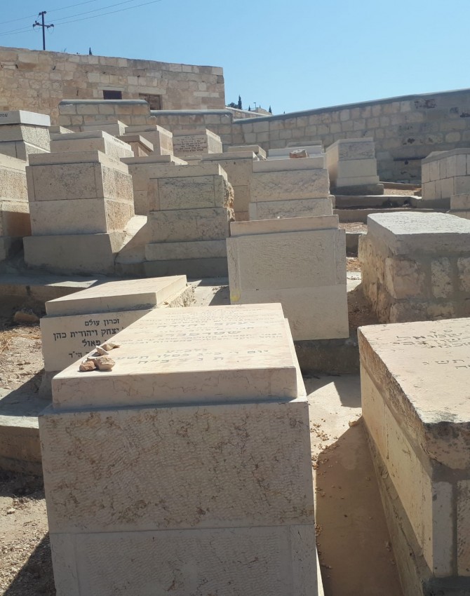 WhatsApp Image 2018-08-29 at 14.14.49