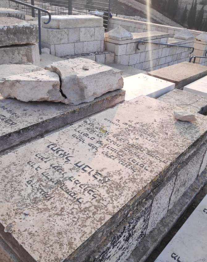 WhatsApp Image 2018-11-12 at 10.34.08