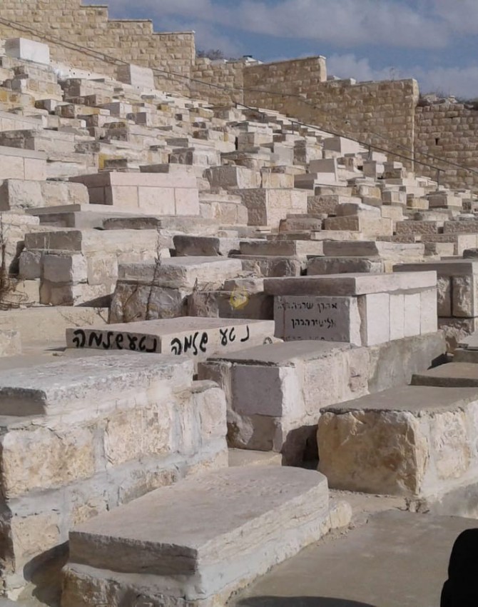 WhatsApp Image 2018-11-19 at 12.52.24