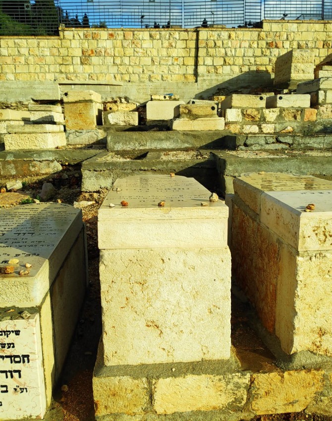 WhatsApp Image 2018-12-06 at 15.20.00 (1)