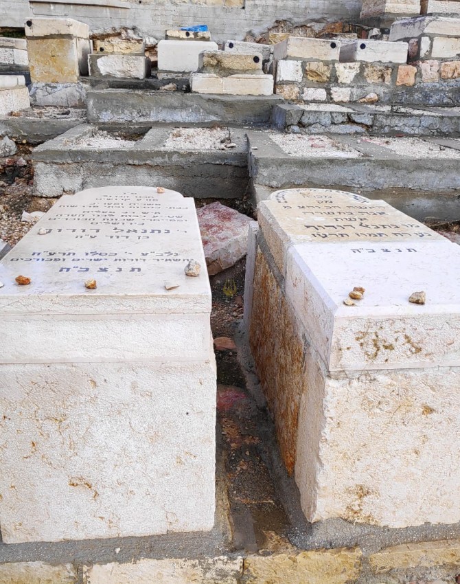 WhatsApp Image 2018-12-06 at 15.20.01 (1)