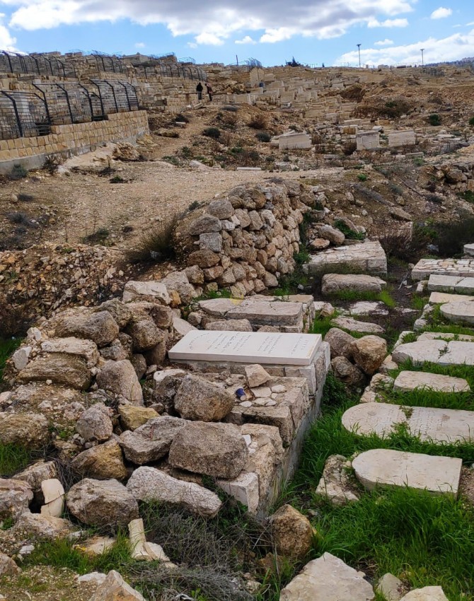 WhatsApp Image 2019 01 08 at 11.49.54