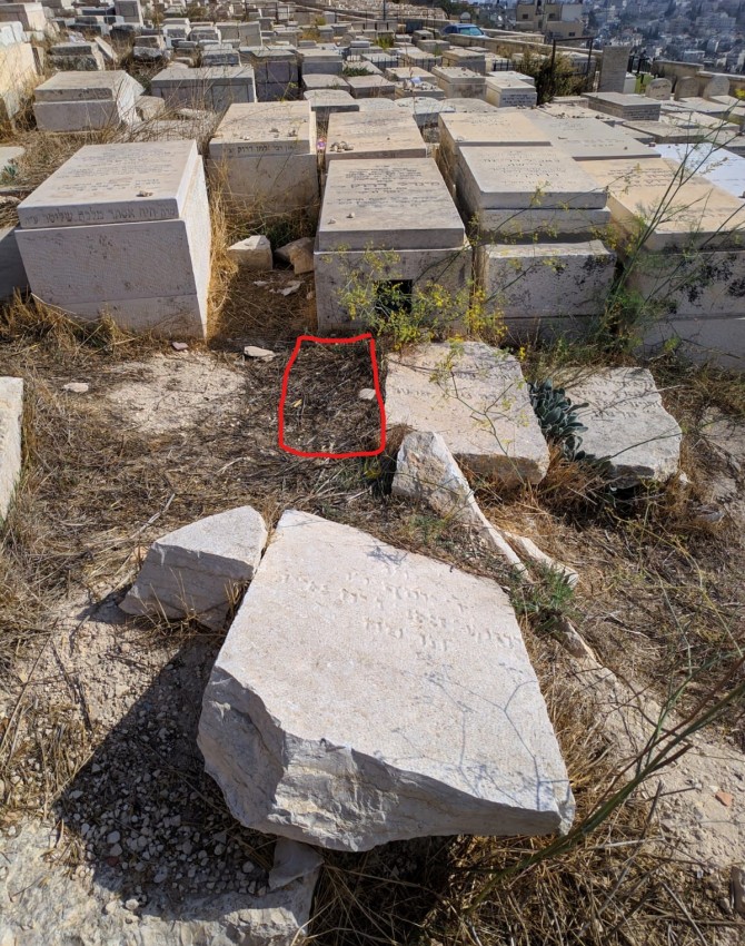 WhatsApp Image 2019 11 13 at 12.19.25 2