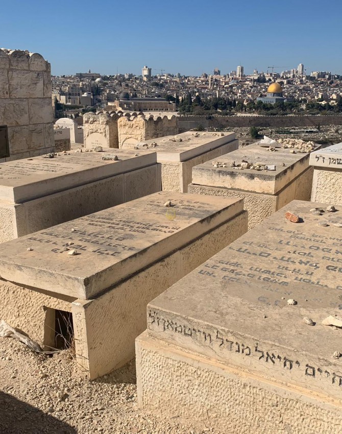 WhatsApp Image 2019 12 09 at 09.57.49