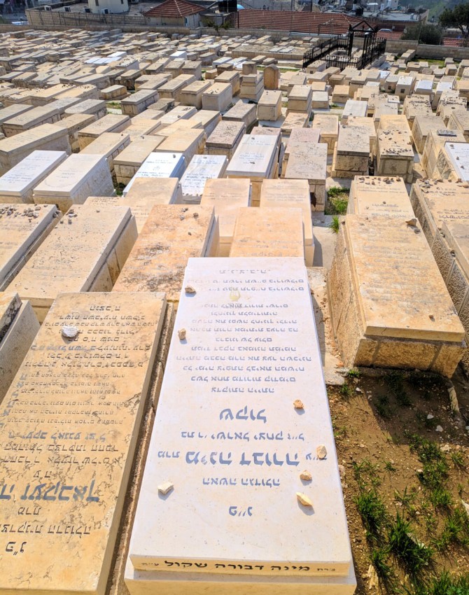 WhatsApp Image 2020 02 18 at 14.54.01