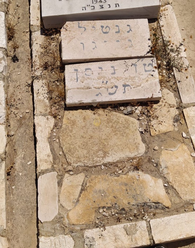 WhatsApp Image 2020-08-16 at 12.10.01 (2)