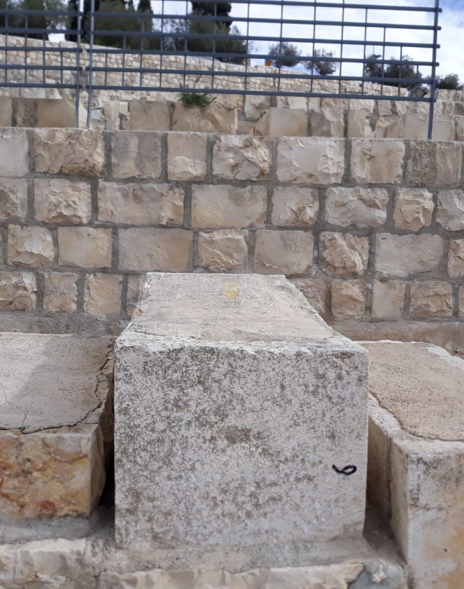 WhatsApp Image 2020-11-24 at 16.05.45