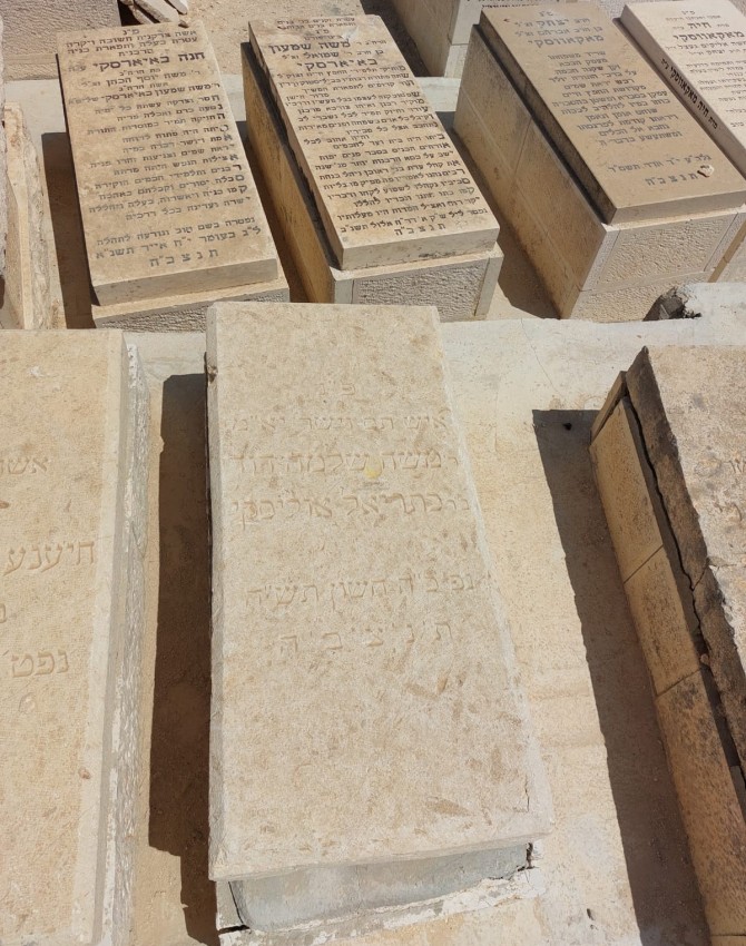 WhatsApp Image 2022-05-12 at 18.47.37