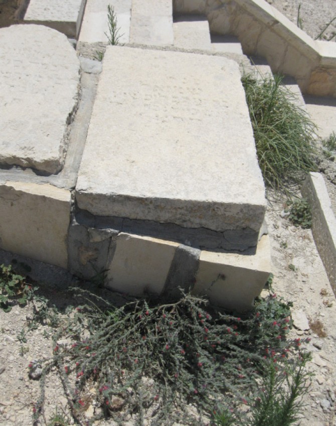 תמונת קבר שמואל ליפשיץ