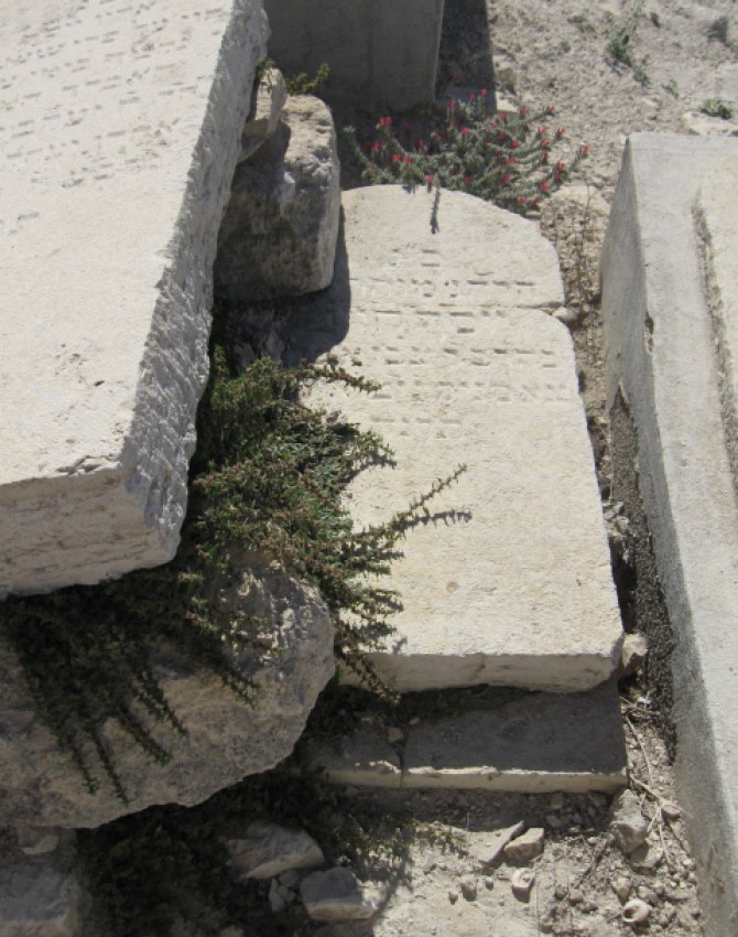 תמונת קבר יוסף חיים צאסניק